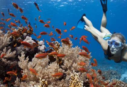 Croisière  snorkeling - Amis des Maldives
