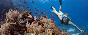 Croisière  snorkeling - Amis des Maldives