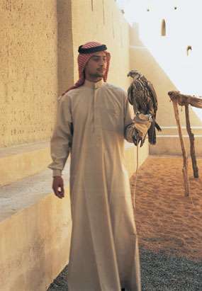 Fauconnerie dans les Emirats