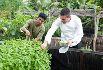 Produits frais à Soneva Fushi