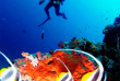 Maldives - Anantara Veli Resort & Spa - Activités et excursions