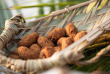 Maldives - Coco Palm Dhuni Kolhu - Activités et excursions