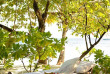 Maldives - Coco Island by COMO - Spa COMO Shambhala