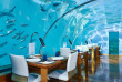 Maldives - Conrad Maldives Rangali Island - Ithaa Undersea Restaurant