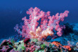 Maldives - Constance Moofushi