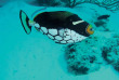 Maldives - Constance Moofushi