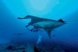 Maldives - Constance Moofushi