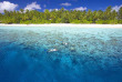 Maldives - Filitheyo Island Resort - Le récif corallien