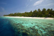 Maldives - Filitheyo Island Resort - Le récif corallien