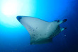 Maldives - Grand Park Kodhipparu Maldives - Activités © S.Peks