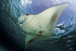 Maldives - TGI Diving Helengeli © Marco Caré