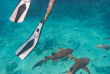 Maldives - Kurumba Maldives - Excursions