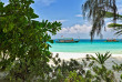 Maldives - Maayafushi Island Resort