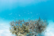 Maldives - Meeru Maldives Resort Island