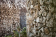 Maldives - Nakai Dhiggiri Resort - Garden Villa