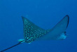 Maldives - Noku Maldives