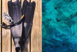 Maldives - OBLU Nature Helengeli by Sentido - Snorkeling