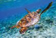 Maldives - OBLU Nature Helengeli by Sentido - Snorkeling