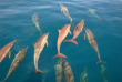 Maldives - Park Hyatt Maldives Hadahaa