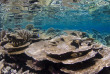 Maldives - Park Hyatt Maldives Hadahaa