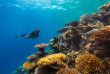 Maldives - Aquafanatics@HN Havodda