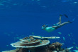 Maldives - Aquafanatics@HN Havodda