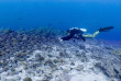 Maldives - Plongée avec Dive Butler Zen - Movenpick Resort kuredhivaru