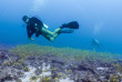 Maldives - Plongée avec Dive Butler Zen - Movenpick Resort kuredhivaru