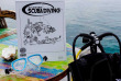 Maldives - Plongée avec Dive Butler Zen - Movenpick Resort kuredhivaru