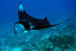Maldives - Euro-Divers Dighali