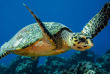 Maldives - Euro-Divers Dighali