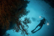Maldives - Euro-Divers