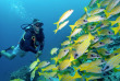 Maldives - Euro-Divers