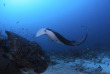 Maldives - Euro-Divers