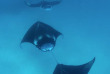 Maldives - Euro-Divers