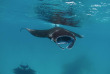 Maldives - Euro-Divers