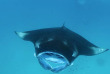 Maldives - Euro-Divers