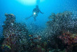 Maldives - Park Hayatt - La plongée