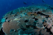 Maldives - Centre de plongée Sub Oceanic - Canareef Resort