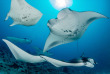 Maldives - Centre de plongée Sub Oceanic - Canareef Resort