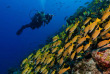 Maldives - Medhufushi - Werner lau - Banc de fusiliers © U.Kefrig