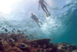 Maldives - Sandies Bathala Maldives - Centre de plongée Werner Lau