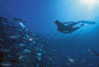 Maldives - Soleni Dive Center - Soneva Fushi