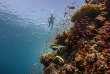 Maldives - Sun Siyam Vilu Reef - Activités et excursions