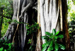 Maldives - The Barefoot Eco Hotel - Activités et excursions