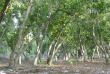 Maldives - The Barefoot Eco Hotel - Activités et excursions