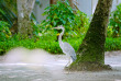 Maldives - Thulhagiri Island Resort