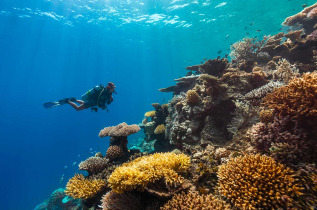 Maldives - Aquafanatics@HN Havodda