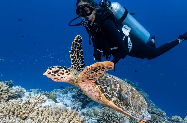 Maldives - Aquafanatics@HN Havodda